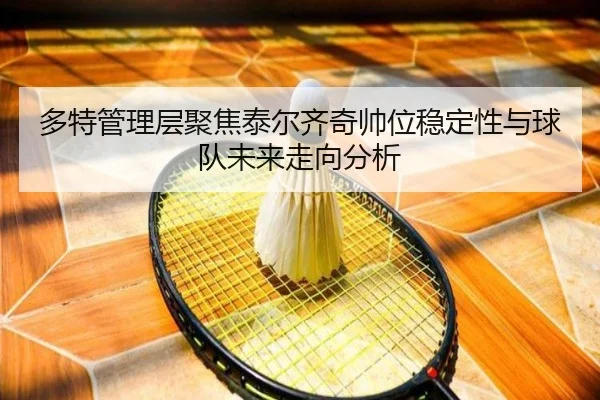 多特管理层聚焦泰尔齐奇帅位稳定性与球队未来走向分析（kaiyun）