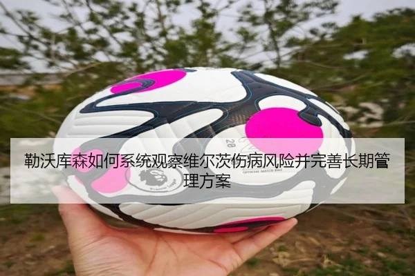勒沃库森如何系统观察维尔茨伤病风险并完善长期管理方案