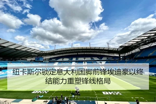 纽卡斯尔锁定意大利国脚前锋埃迪豪以终结能力重塑锋线格局